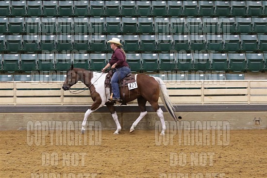 Just Horsin Round June 2025